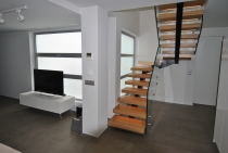 Σιδερένιοι σκελετοί